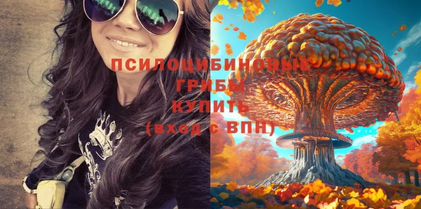 сатива Алексин